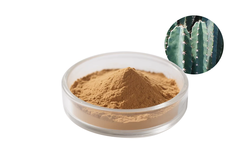 Cactus Extract Powder